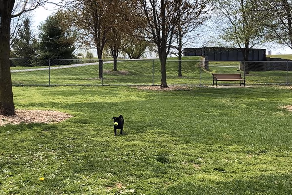 Hagerstown Dog Park photo 1